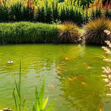 شقة Relax - Stubenbergsee *